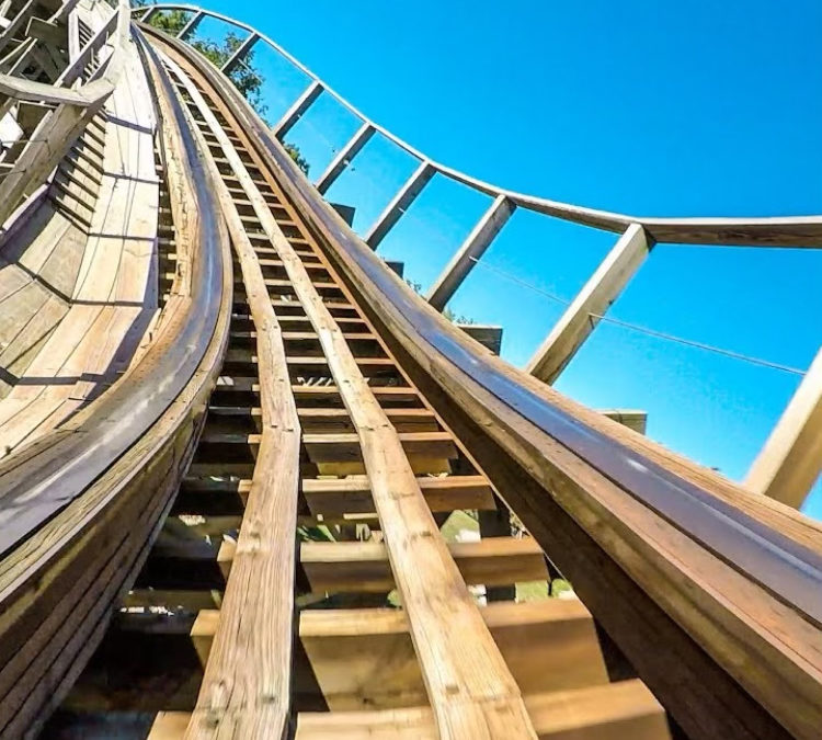 Roller Coaster Life