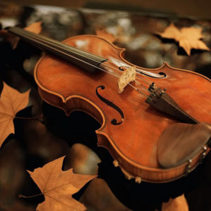 Violin in Fall