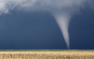 Sh*t Storm